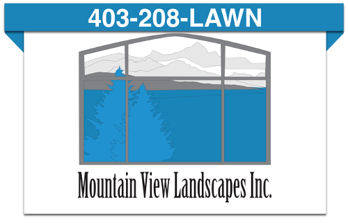 Mountain View Landscapes